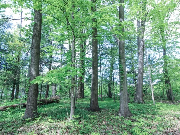 0 Norton Rd, Hudson, OH 44236