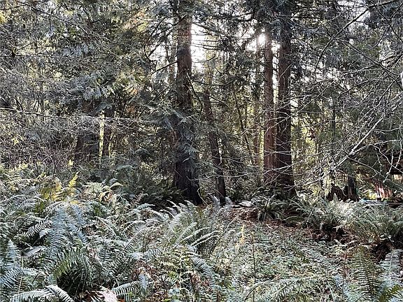 2nd image of 0 5XX Dodger Lane