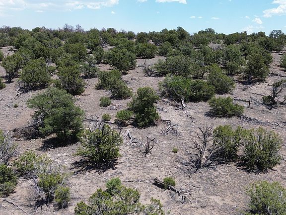 4th image of Omega Rd Lot 24