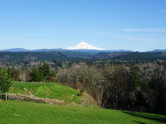 Pasture and Mtn. from Deck.