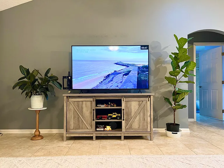 Living Room with 65 inch TV