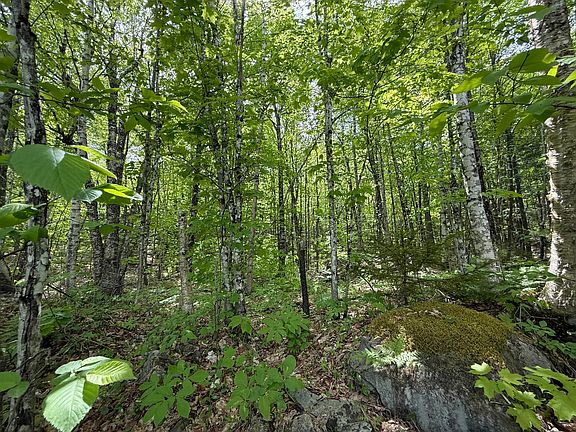 5th image of R6L9 Dickey Mills Road