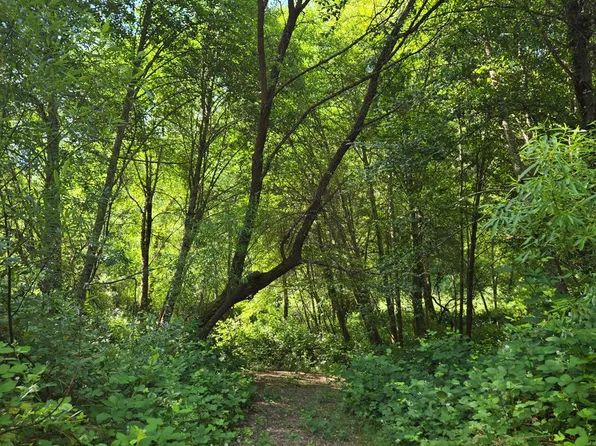 Greenwood Rd, Garden Valley, CA 95633