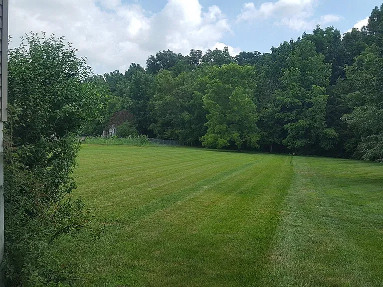 4 bed, 2300 sqft, $2,300 — Photo 4