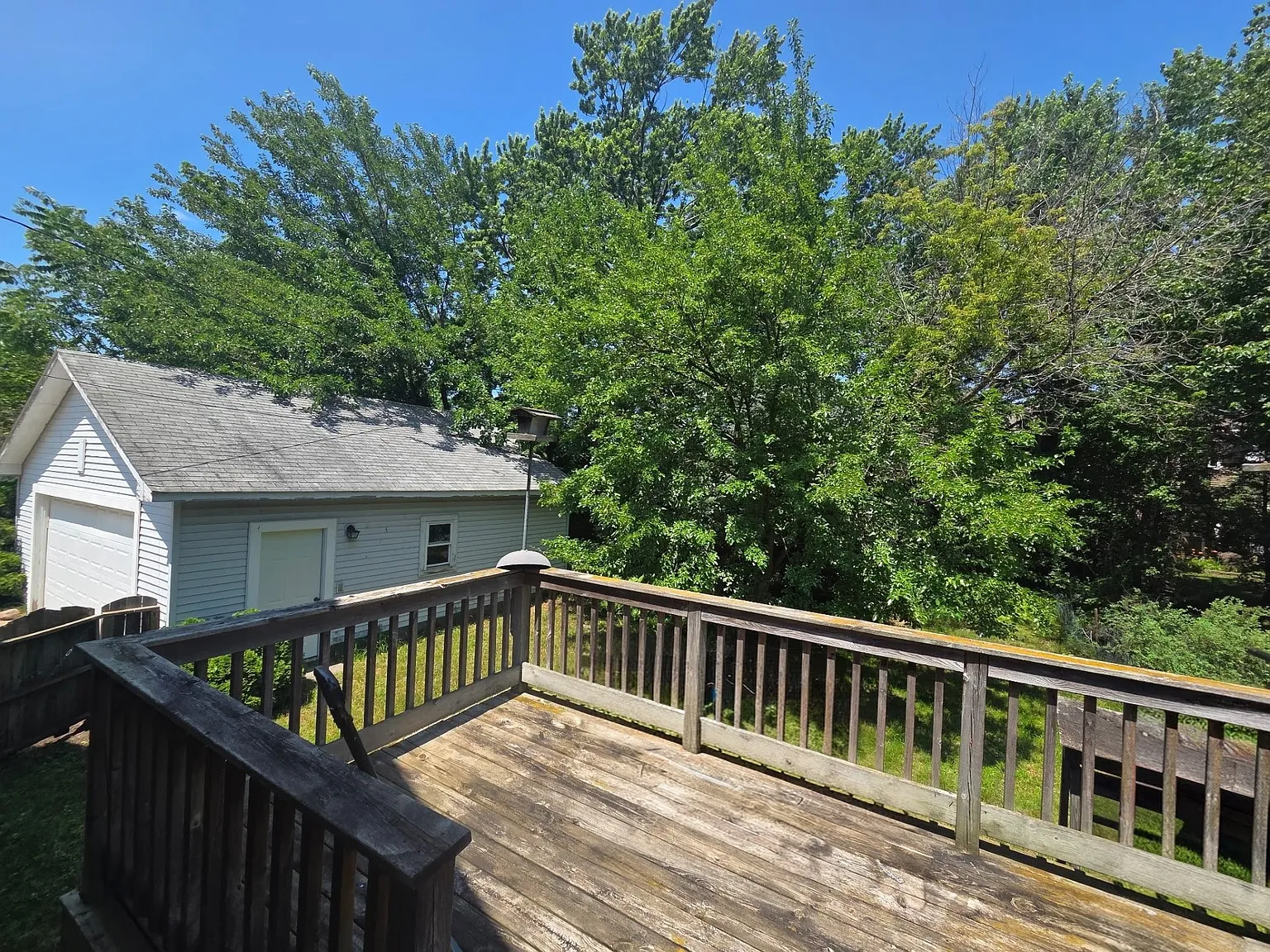 3 bed, 1600 sqft, $800 — Photo 2