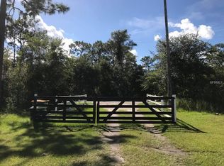 3345 Rambler Ave, Saint Cloud, FL 34772