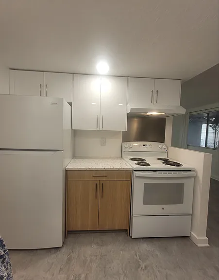 Brand new kitchen cabinets and appliances.