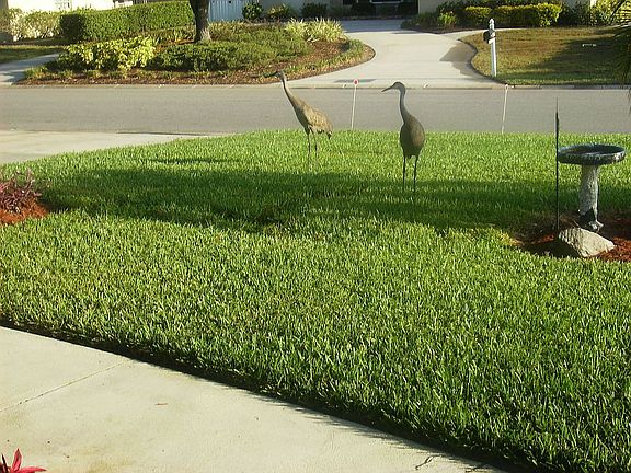 5th image of 3728 Breezemont Dr