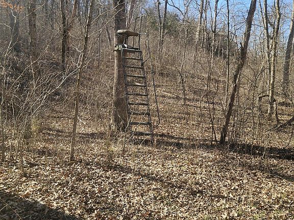 4th image of 000 Velvet Antler Road Road