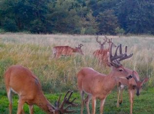 608 N 3859th Rd, Mendota, IL 61342