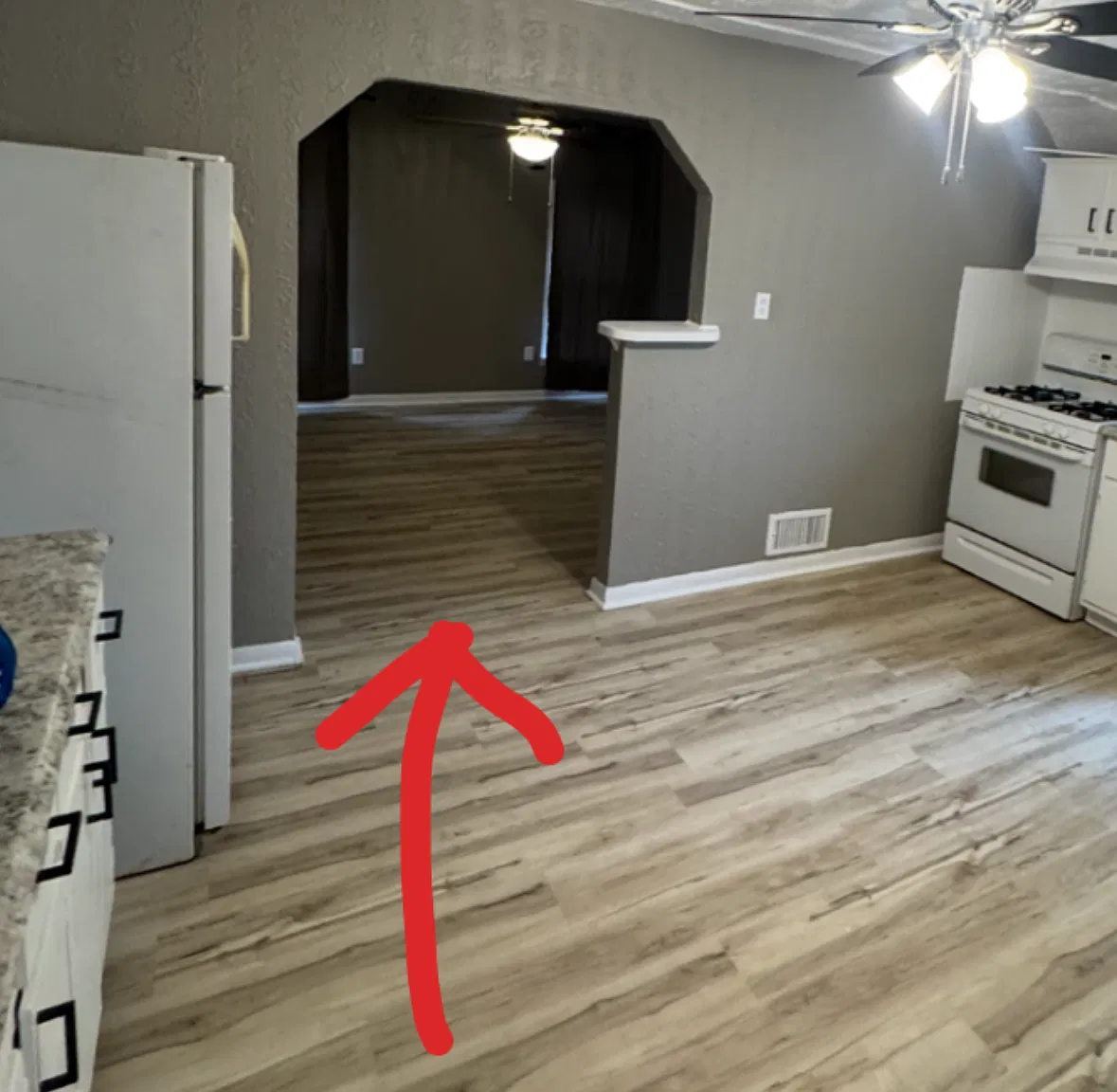 1 bed, $950 — Photo 4