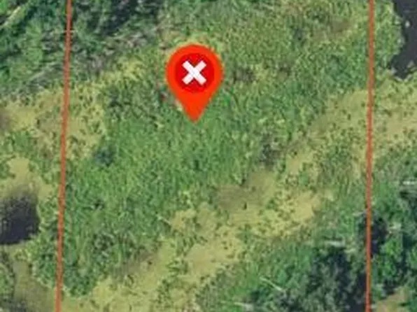 34787 305th St, Battle Lake, MN 56515