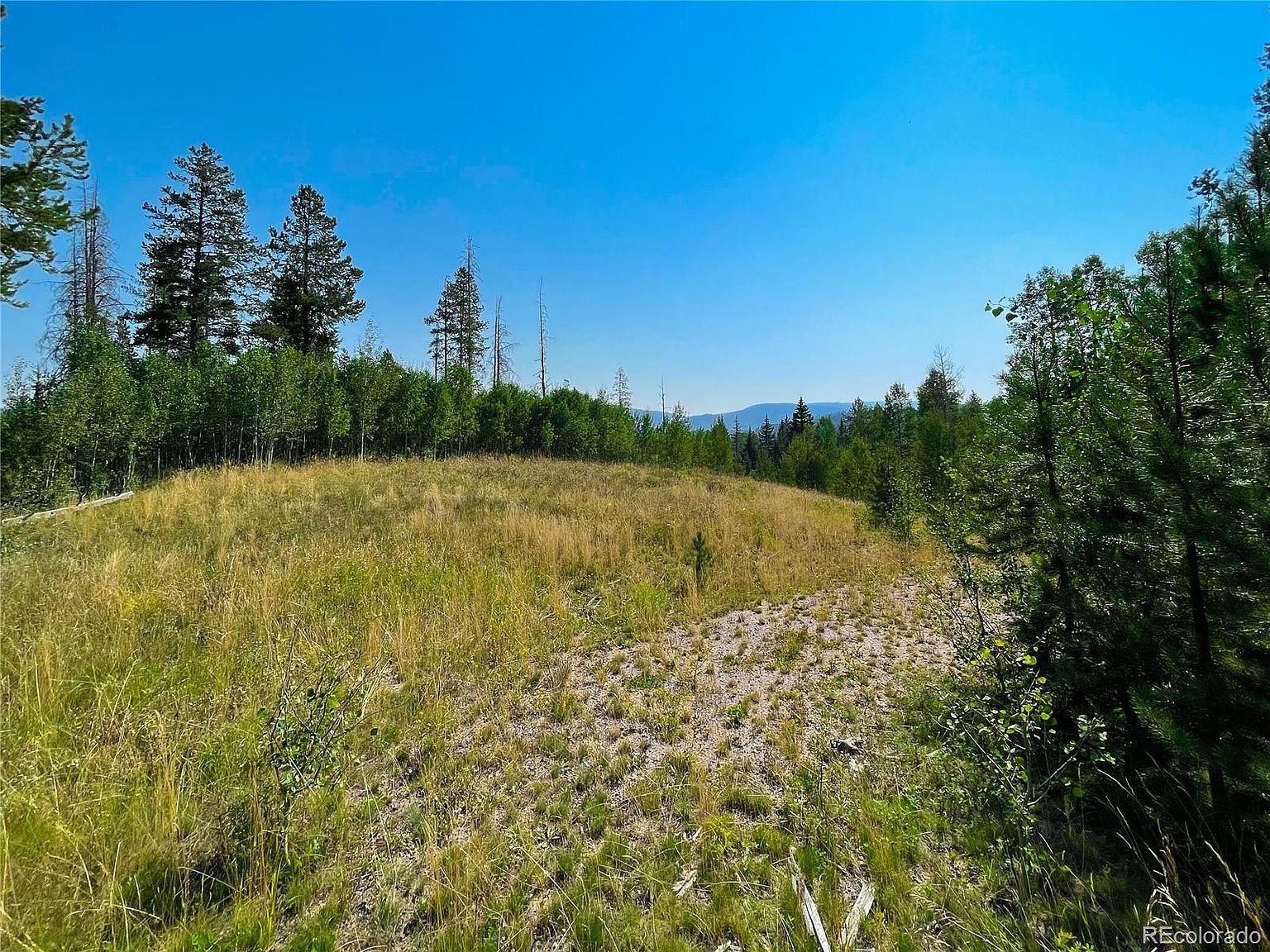 31605 Greenridge Drive, Oak Creek, CO 80467 Zillow