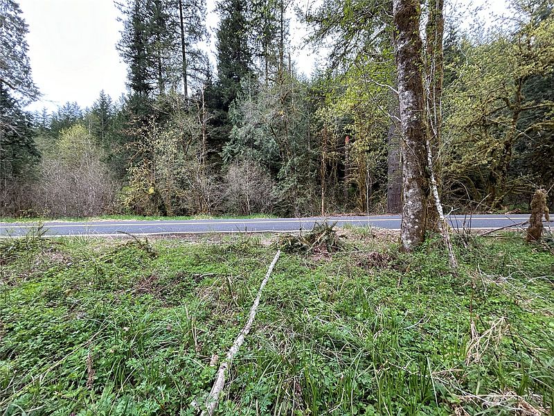 3rd image of 0 Lot 3 Abernathy Creek Road