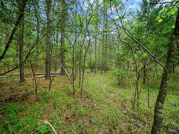 5th image of 561 Camp Ranch Rd #1