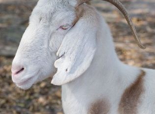 38139 Rolling Acres Rd, Lady Lake, FL 32159