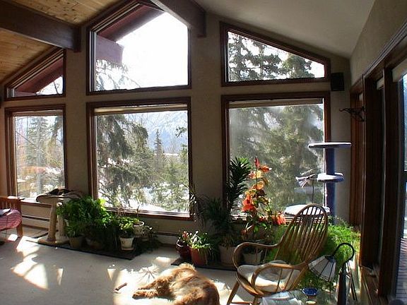 Sorry - dog not included.