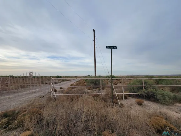 Wrangler Rd, Roswell, NM 88201
