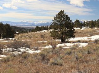 113 Junkins Loop, Westcliffe, CO 81252