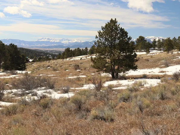 113 Junkins Loop, Westcliffe, CO 81252
