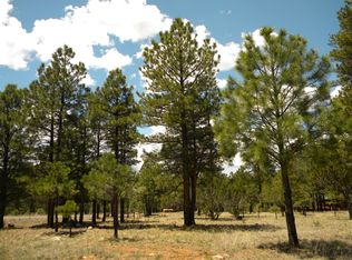 4237 Navajo Dr, Happy Jack, AZ 86024