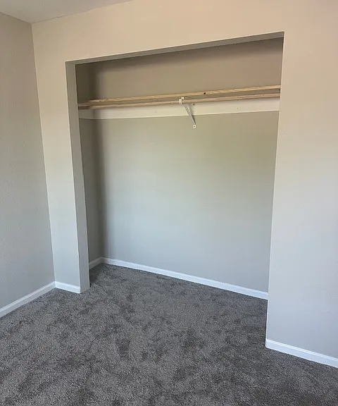 224 Brittain Ln — Photo 16