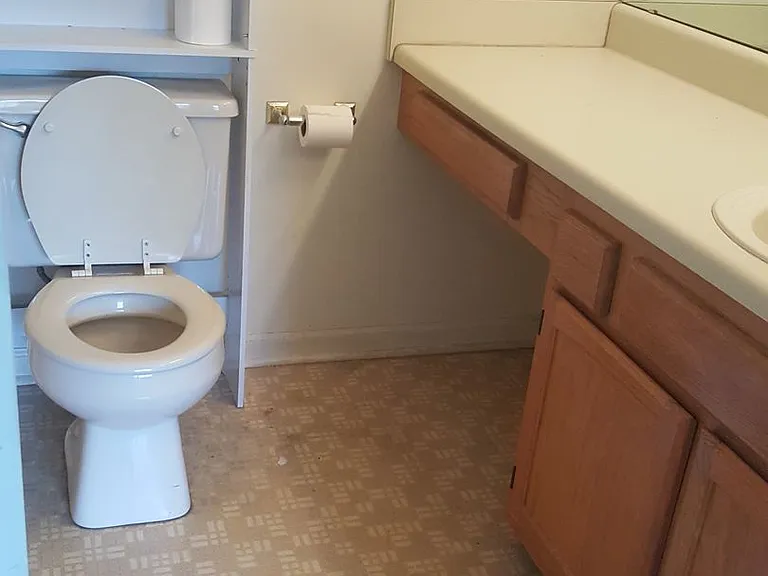 113 Silverleaf Ln — Photo 12