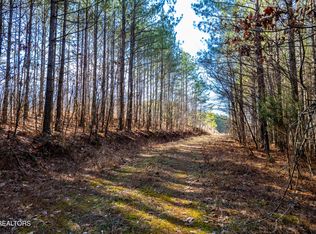 Lower Rockwood Rd, Rockwood, TN 37854