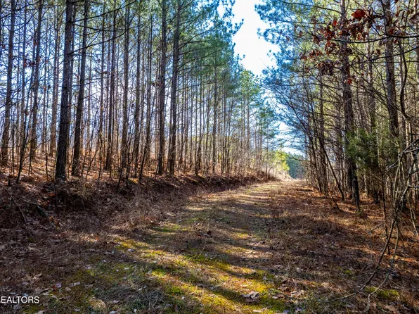 Lower Rockwood Rd, Rockwood, TN 37854