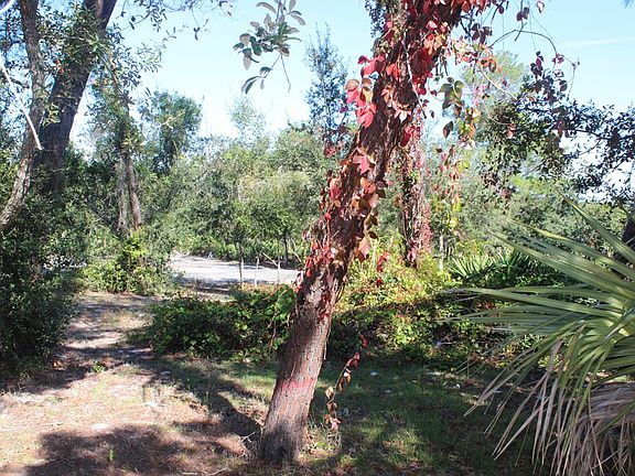 4th image of 12341 Anchor Cove Dr