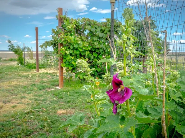 107 Bullard, Gladstone, NM 88422