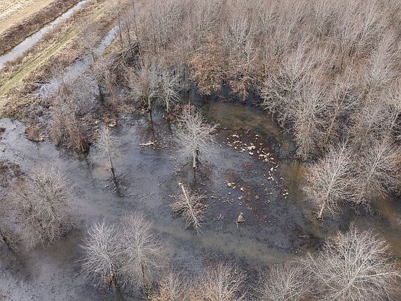 Dji 20260225110116 0227 D