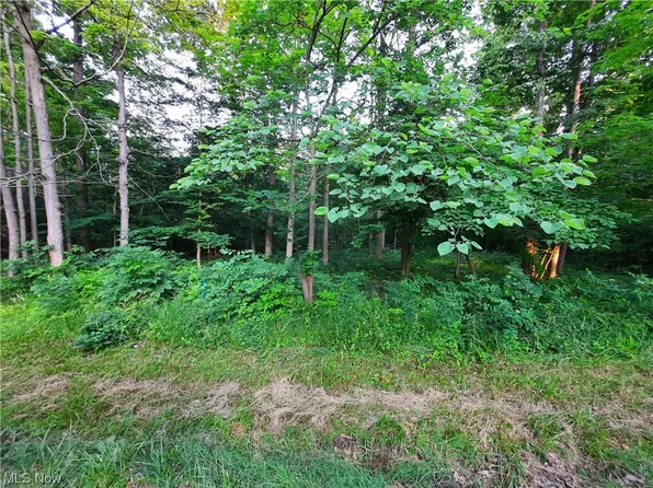 1286 Laurel Dr, West Salem, OH 44287