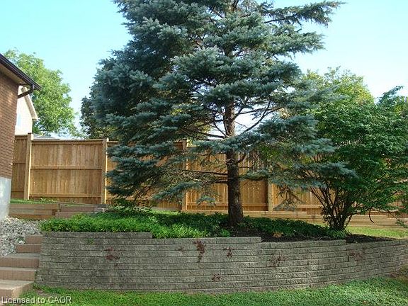 5th image of 126 Avondale Rd