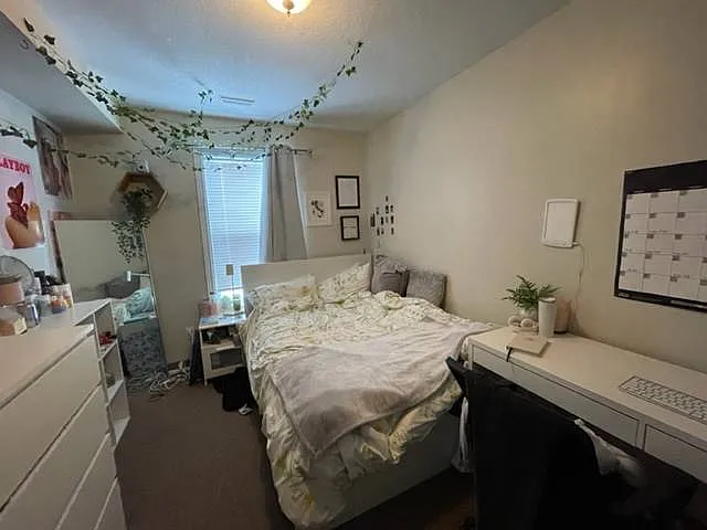 327 Spruce St #4 — Photo 6