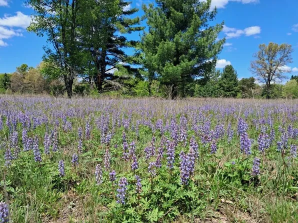 1001AC Barberry Ave, Newaygo, MI 49337