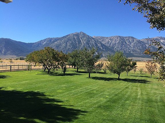 Orchard and Mountain View