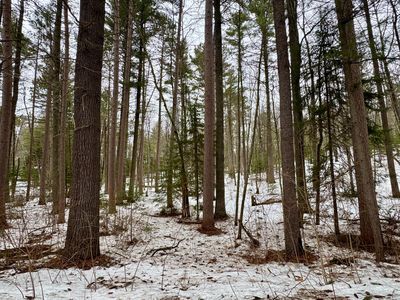 12AC Eagle Rd, Lake Tomahawk, WI, 54539