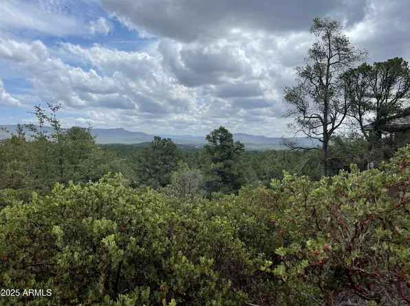 606 N GRAPEVINE Drive #423, Payson, AZ 85541