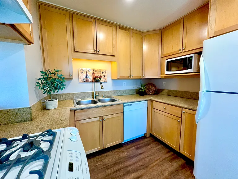 101 S Spruce St #232 — Photo 6