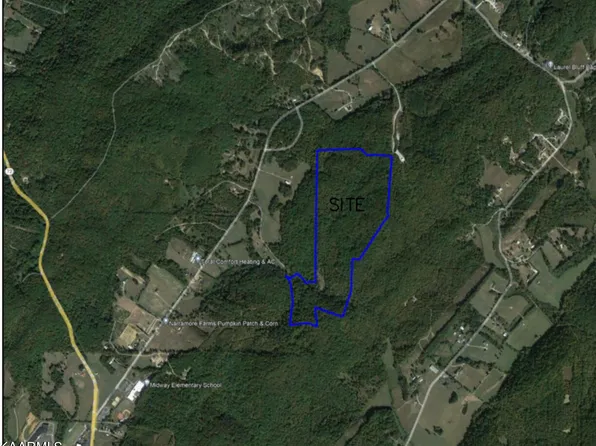 Laurel Bluff Rd, Kingston, TN 37763