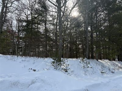 Lot 1 Willow Lane, Glen Spey, NY, 12737