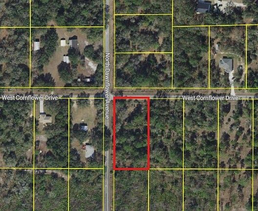 4th image of 11798 W Cornflower Dr