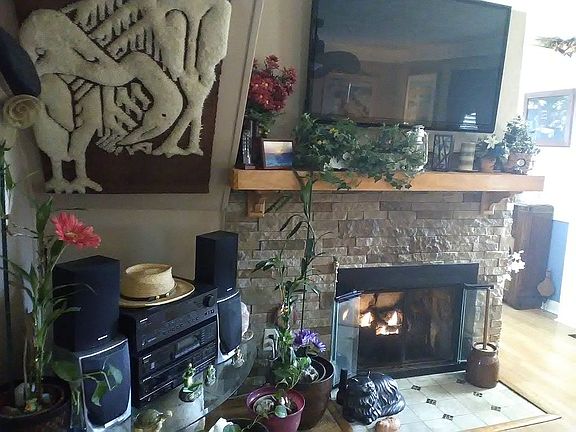 Living Room Fireplace