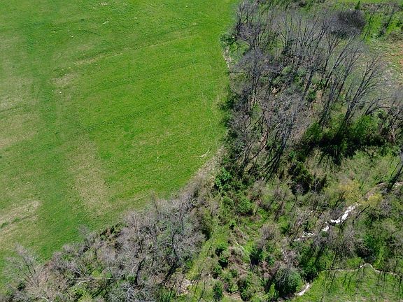 4th image of 20A Mint Ridge Rd