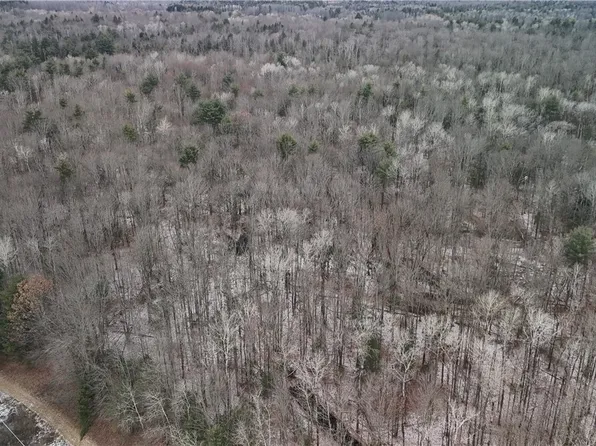 LOT W #A, Freeville, NY 13068