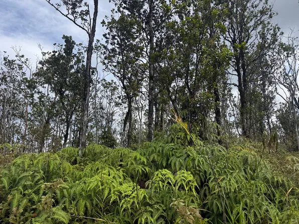 Ala Naulani Lot 24, Volcano, HI 96785