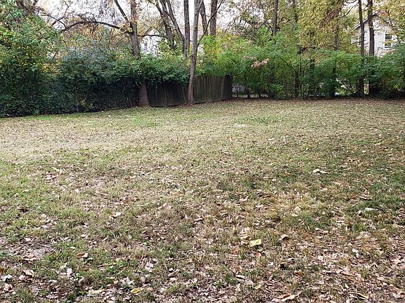 Shared Backyard