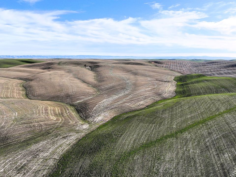 2nd image of S Juniper Canyon Rd