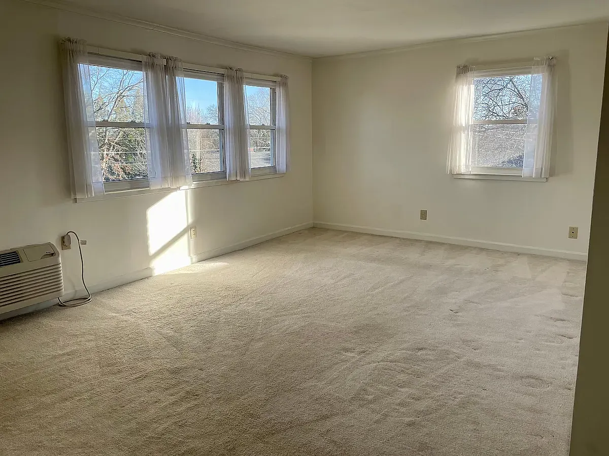 1 bed, 566 sqft, $1,150 — Photo 3